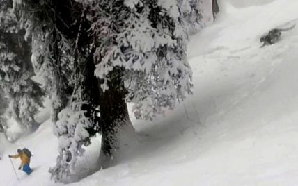 Лыжники сняли на видео опасную встречу со снежным барсом в Индии