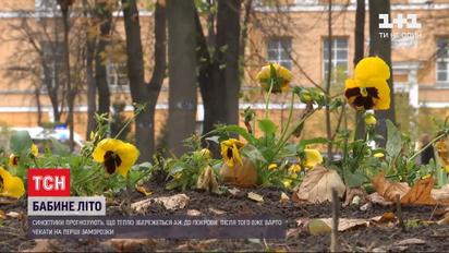 Синоптики прогнозують, що в тепло в Україні збережеться аж до Покрови