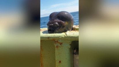 Рибалка впіймав істоту, схожу на інопланетянина