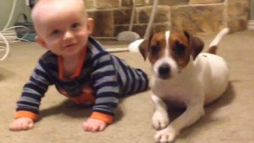 Собака навчає малюка повзати / © YouTube/Cevaplio Com