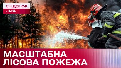 Все в огне! На востоке Украины горят леса! Страшные последствия пожара