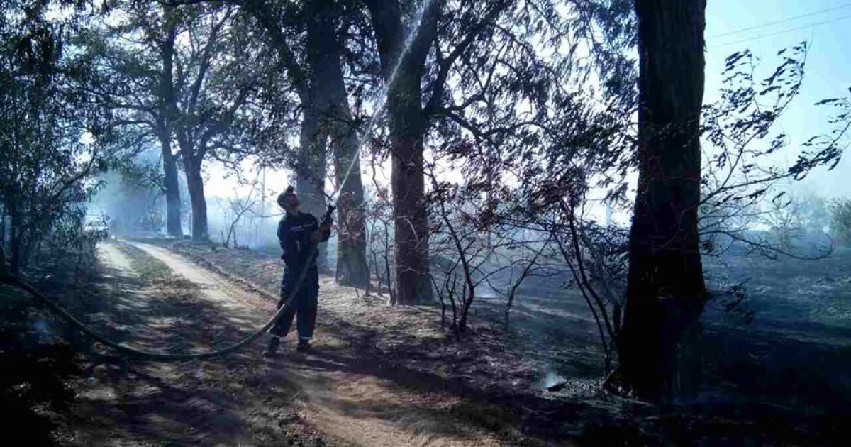 пожежа на зерсонщині_2 / © ДСНС