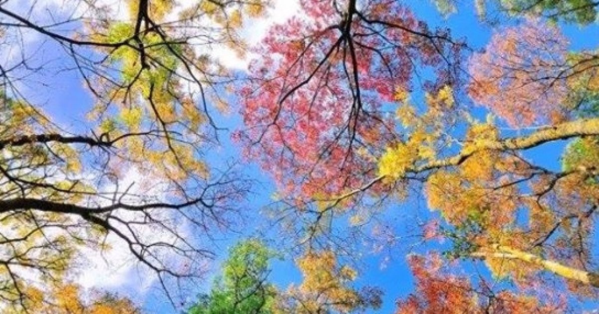 В Украине установилась очень жаркая погода