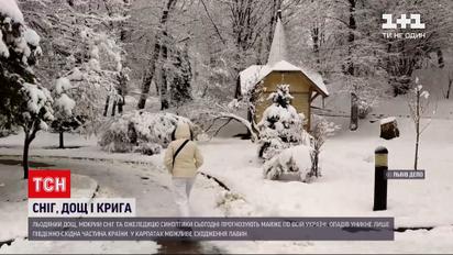 Погода в Украине: в западных и северных областях выпал снег