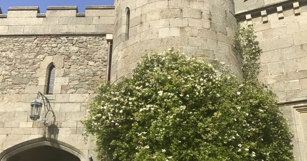 Крим_2 / © facebook.com/Марія Захарова