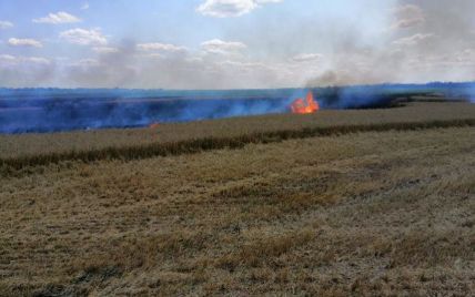 Майже 5 гектарів пшениці згоріли у Миколаївській області