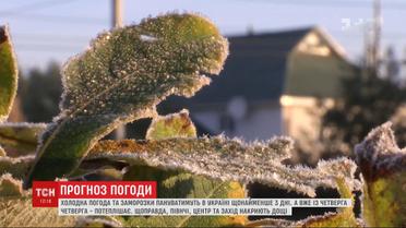 На Ровенщине и в Карпатах выпал первый снег