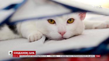 Астрологический прогноз на 9 октября 2019 года