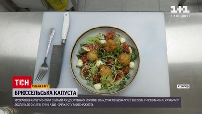 Брюссельська капуста: що можна приготувати з маленьких качанчиків