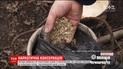 Прикарпатские правоохранители обнаружили у сельского жителя 275 стеклянных банок с наркотиками