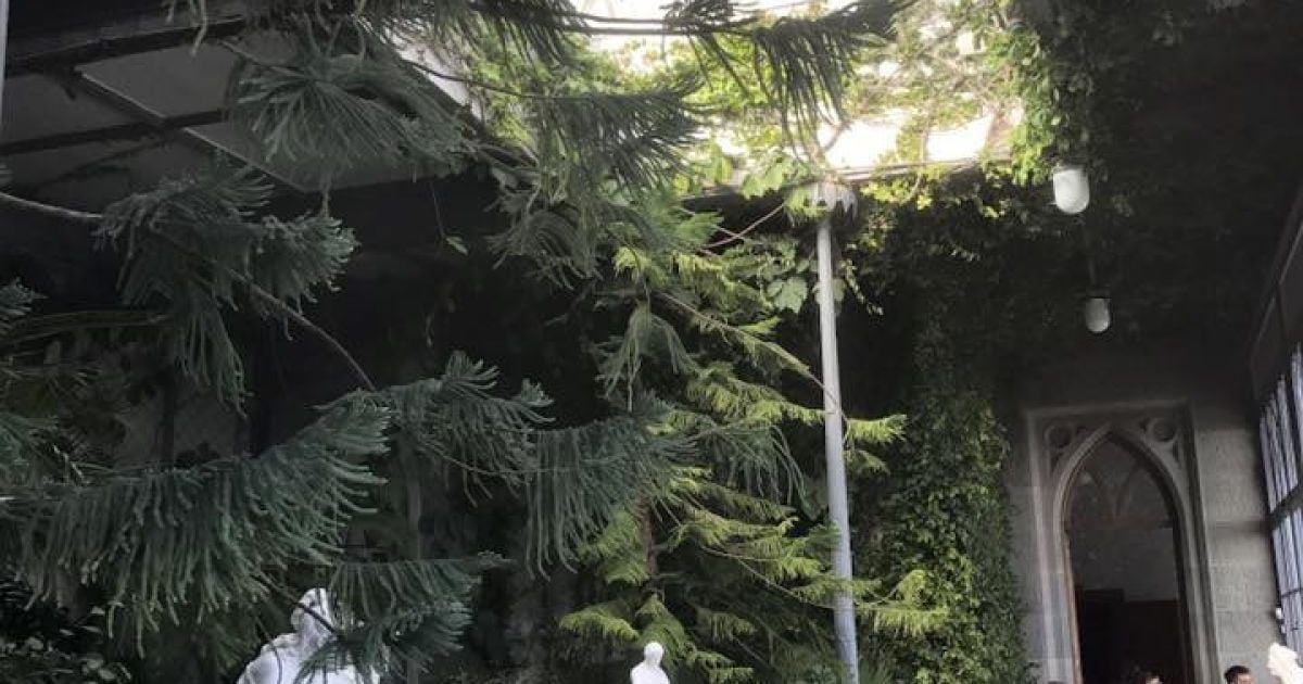 Крим_8 / © facebook.com/Марія Захарова