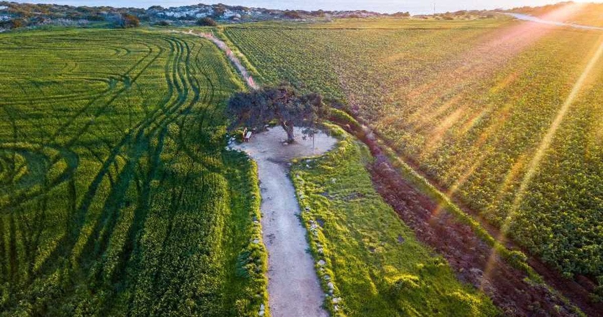 Ціна на землю