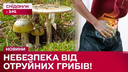Отравление грибами с летальным исходом! Какие симптомы не стоит игнорировать?