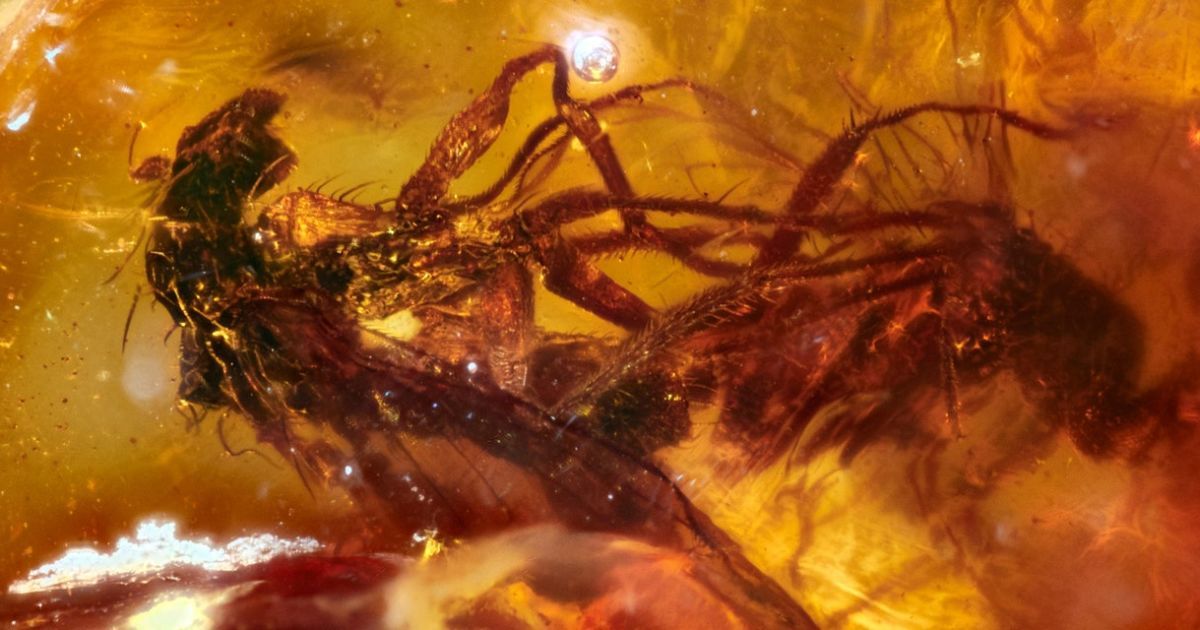 Линда Гамильтон жалаңаш