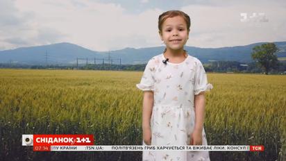 Погода от Фроси на первые выходные апреля