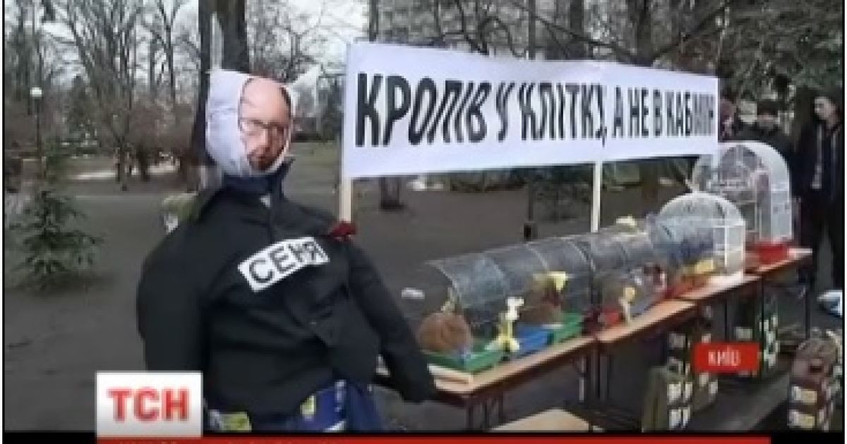 Отчет правительства в Раде. Митингующие принесли под стены парламента клетки с петухом и кроликом