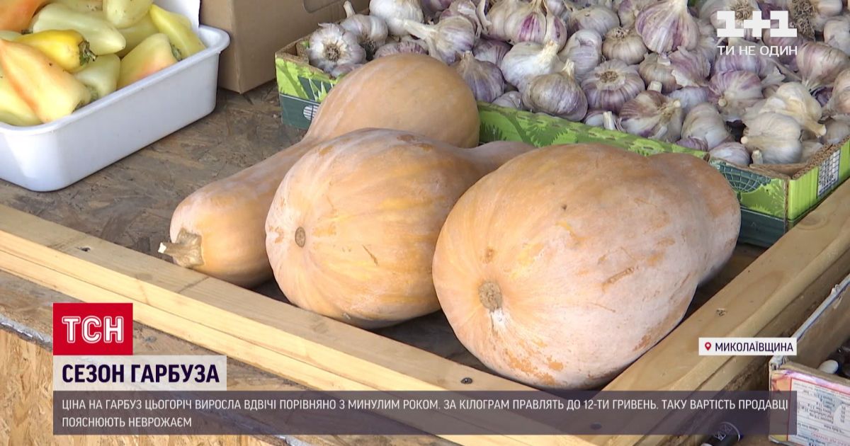 Сезонные бахчевые: украинские тыквы значительно подорожали