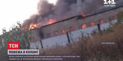 В исправительной колонии под Киевом занялся цех, где переделывали древесину