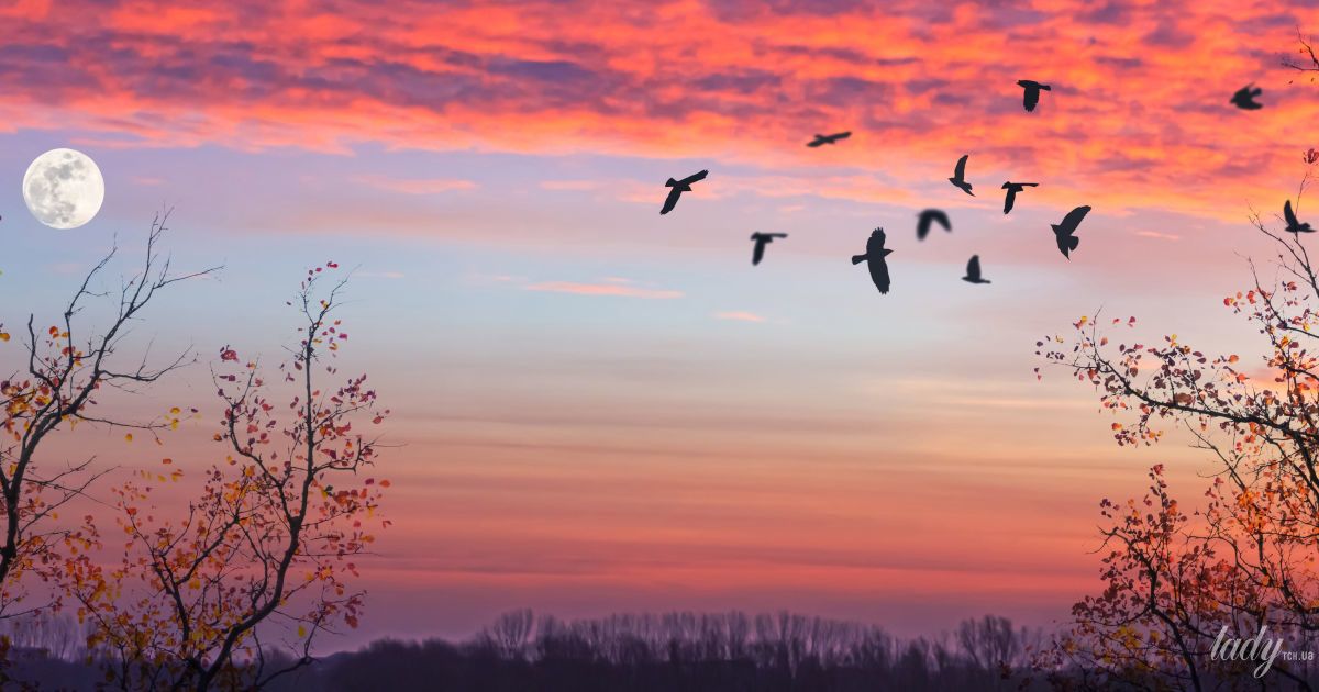 Гороскоп на 4 жовтня для всіх знаків зодіаку