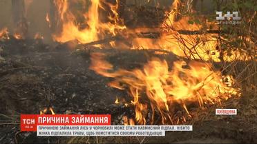 Пожар в Чернобыльской зоне могла повлечь нетрезвая женщина - полиция Киевщины