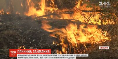 Пожар в Чернобыльской зоне могла повлечь нетрезвая женщина - полиция Киевщины