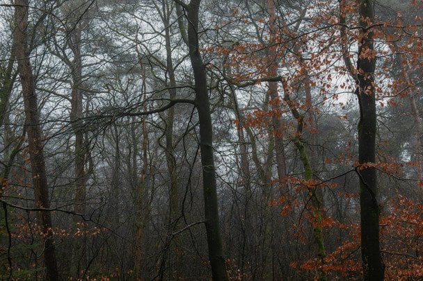 Народні прикмети 14 листопада / © unsplash.com