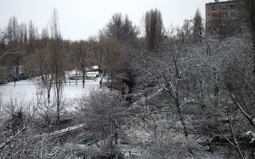 Перший сніг у Чернівцях. / © ВКонтакте/Черновцы, детка! Це Чернівці, крихітко!