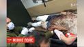 В Донецкой области женщина подорвалась на мине и потеряла стопу