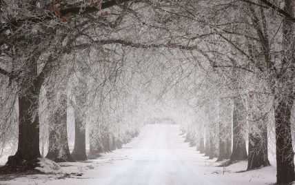 Гололедица и налипание мокрого снега: синоптики предупредили украинцев об опасной погоде