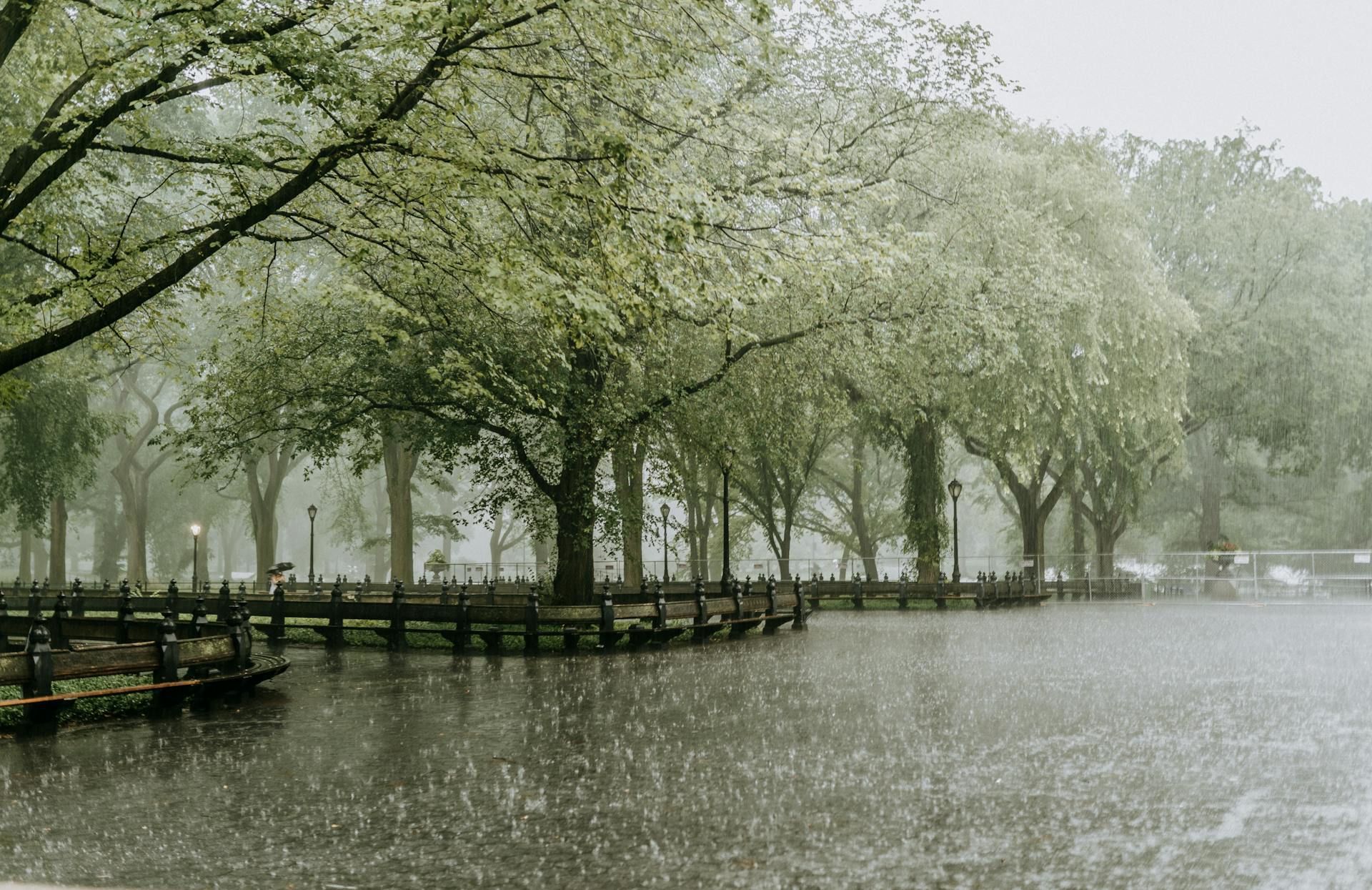 1 квітня злива вказує на засушливе літо / © Pexels