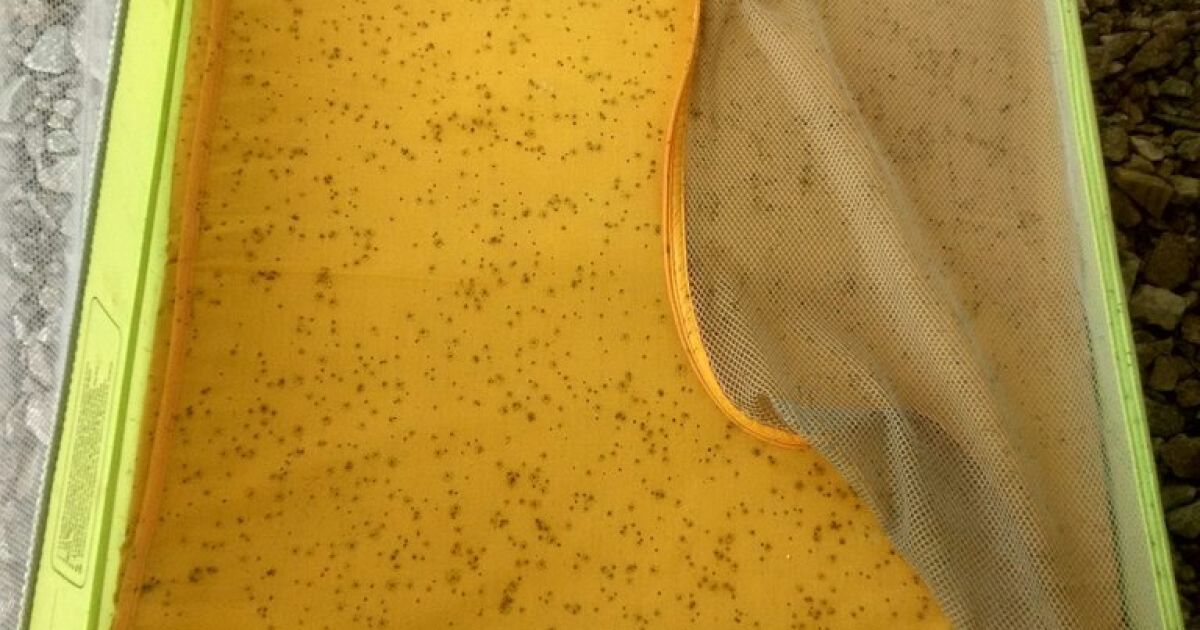 Пользователи социальных сетей начинают паниковать через "черный дождь" / © vk.com/Андрій Швец