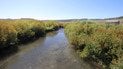 Дикі водойми можуть бути небезпечними