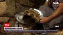 Новости Украины: во Львове диггеры нашли в городской канализации тайник евреев времен Холокоста