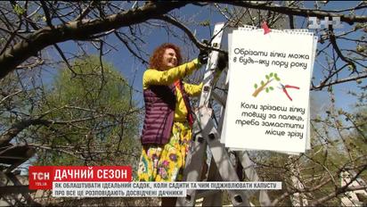"Удачний сезон": як виростити на дачі багато дерев та облаштувати ідеальний садок
