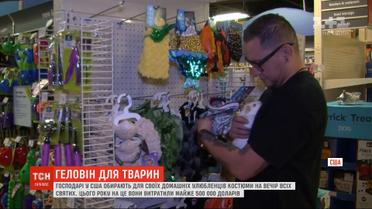Американцы потратили полмиллиарда долларов на костюмы для домашних любимцев на Хэллоуин