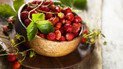 Лесная земляника: магия и комплекс витаминов