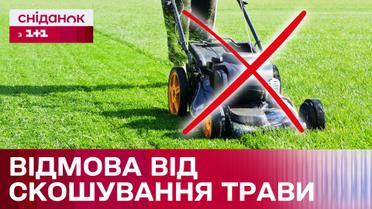 У Києві відмовилися від скошування трави! Чи правильно це?