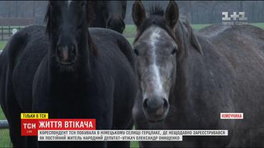 ТСН нашла элитный конный комплекс Онищенко в Германии