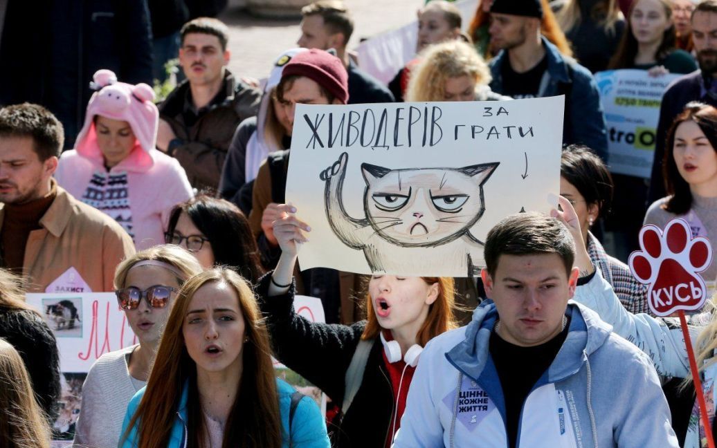 © УНІАН