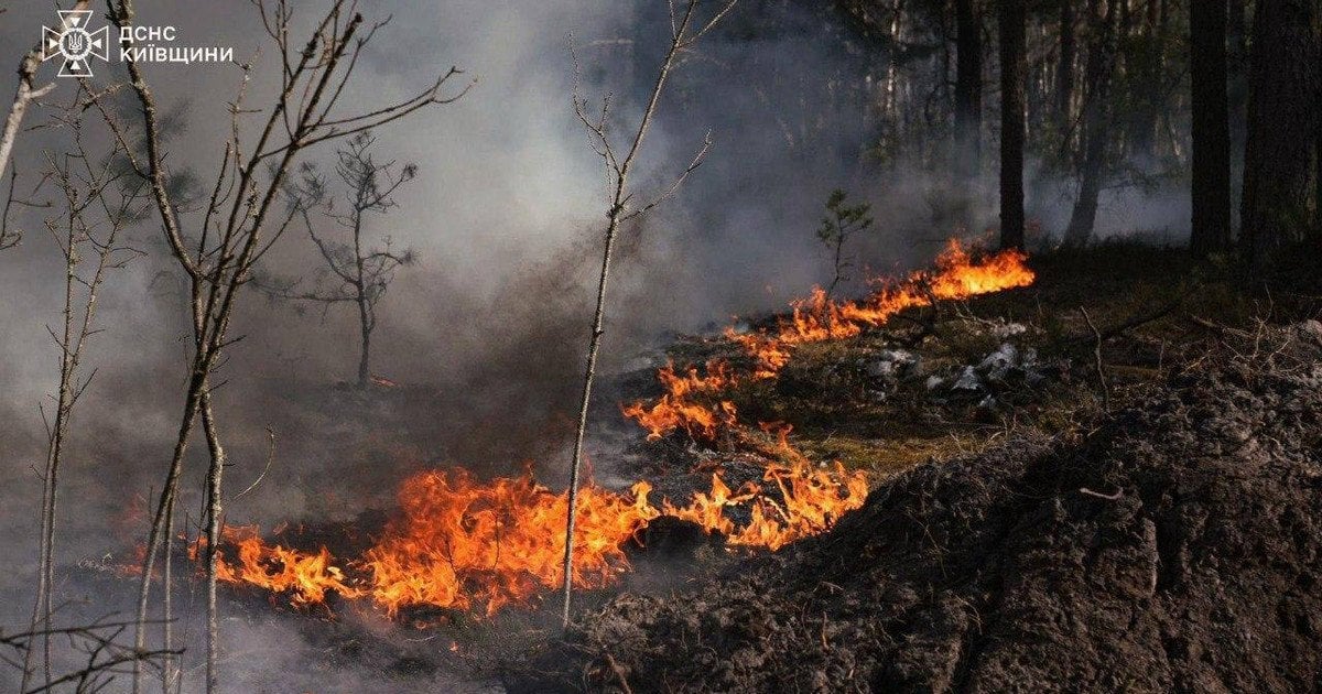 Пожежа в Чорнобильській зоні відчуження