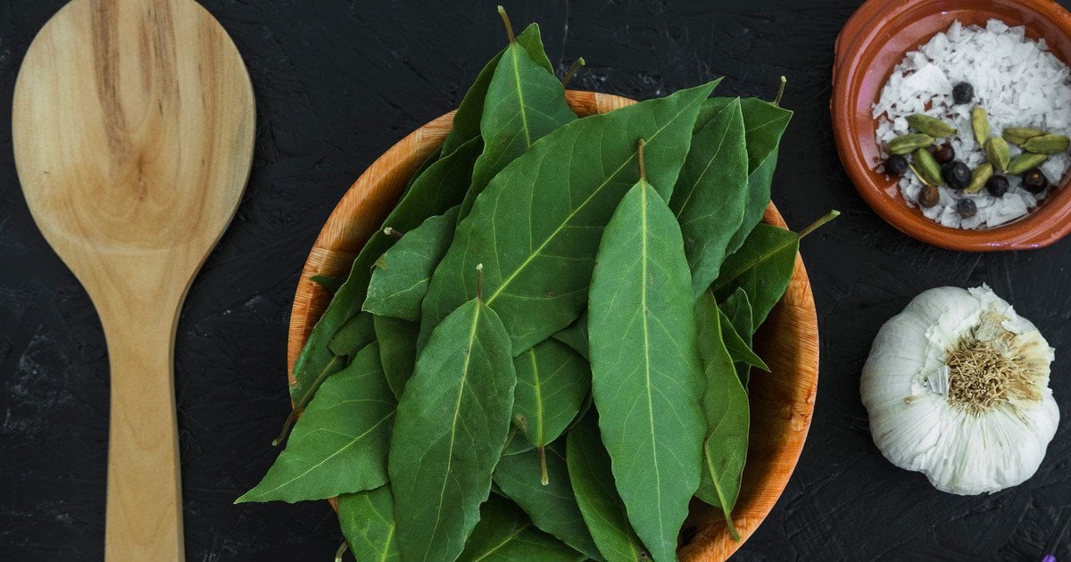 Навіщо заморожувати лаврове листя