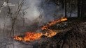 Пожежа в Чорнобильській зоні відчуження