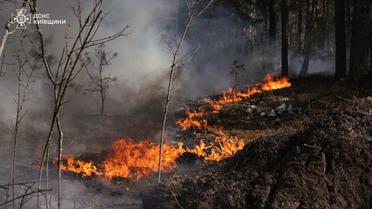Пожежа в Чорнобильській зоні відчуження_4 / © ДСНС
