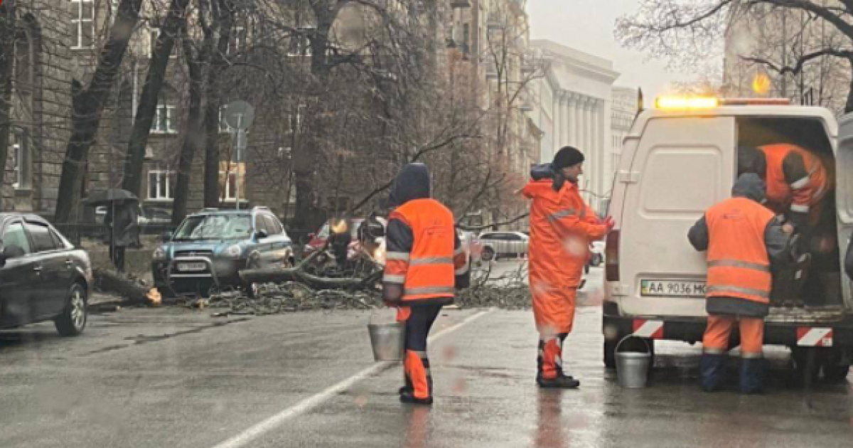 В центрі Києва біля Офісу президента величезне дерево впало на дорогу та пошкодило автівку / © Київ Оперативний