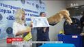 Самого большого кота Украины внесли в Национальную книгу рекордов