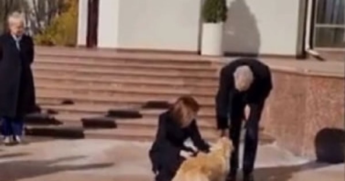 Собака Майи Санду благополучно вернулась домой после побега в новогоднюю ночь