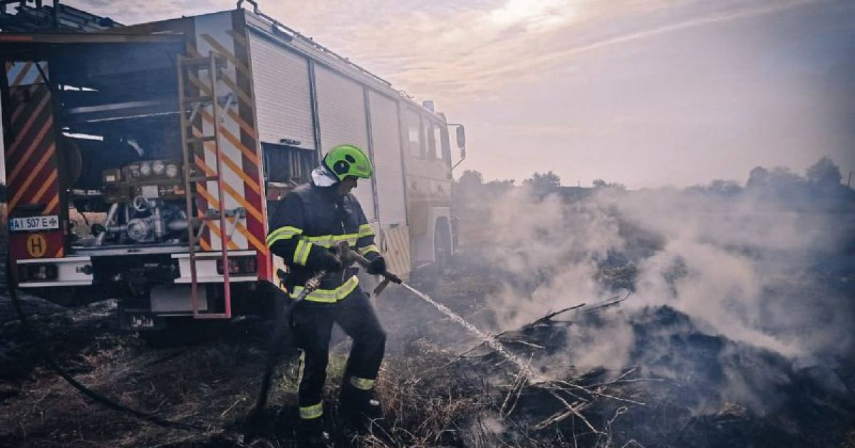 В Киевской области во время обжига сухостоя погибла женщина
