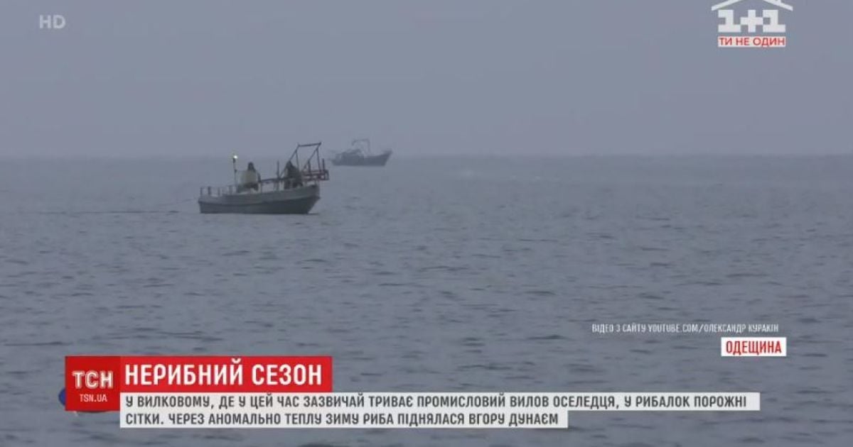 Погода против рыбаков: в Одесской области остались без промышленного вылова сельди