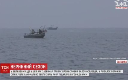 Погода против рыбаков: в Одесской области остались без промышленного вылова сельди