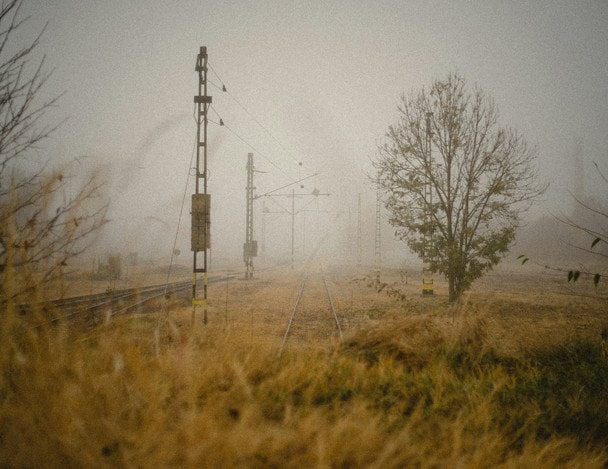 Народні прикмети 4 листопада / © unsplash.com